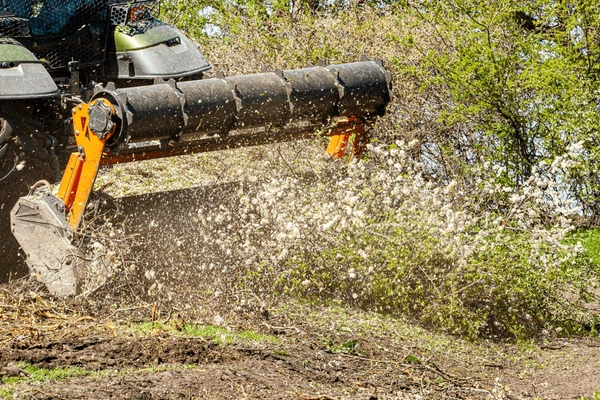 forestry mulching service in Shreveport LA by Caddo Land Works