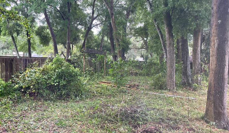 Crew loading large branches and storm debris into equipment on a Central Florida property to clear hazards and restore safe, usable access across the land.