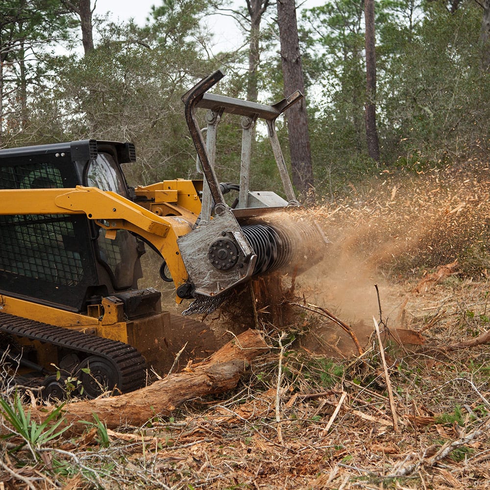Forestry mulcher clearing thick brush along rural property access trail after heavy seasonal growth